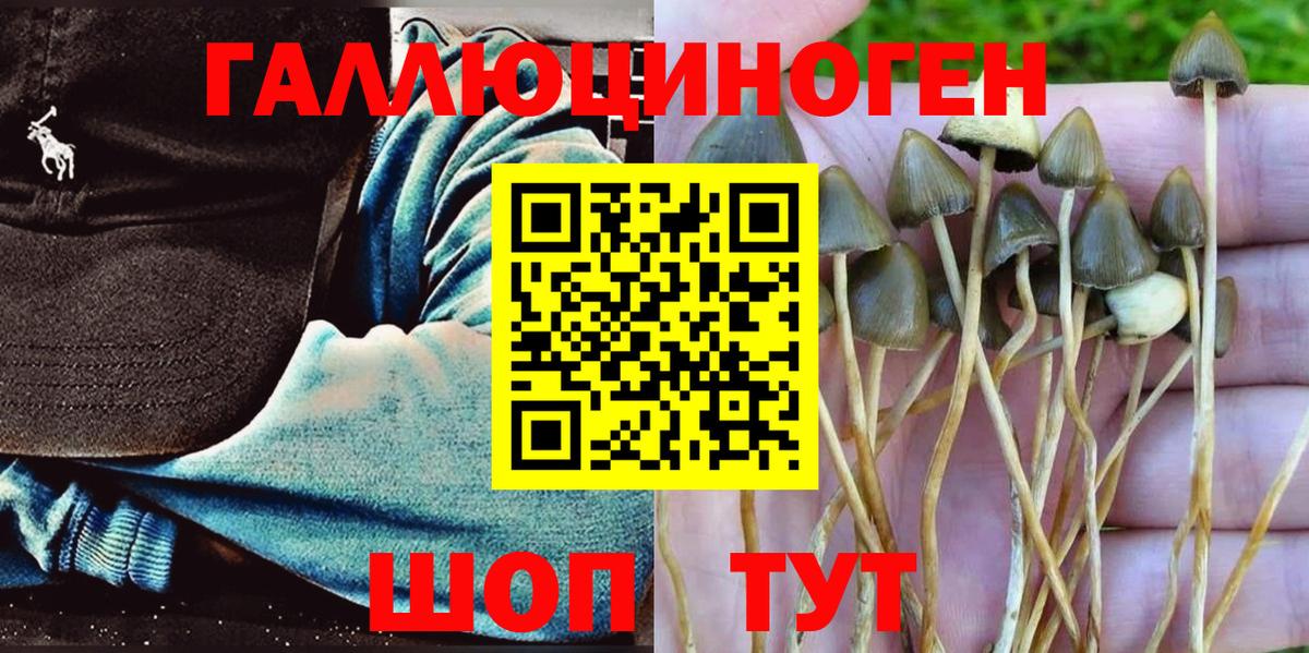 Псилоцибиновые грибы Psilocybine cubensis  Вход с VPN  Кирово-Чепецк  как найти наркотики  Галлюциногенные грибы GOLDEN TEACHER 