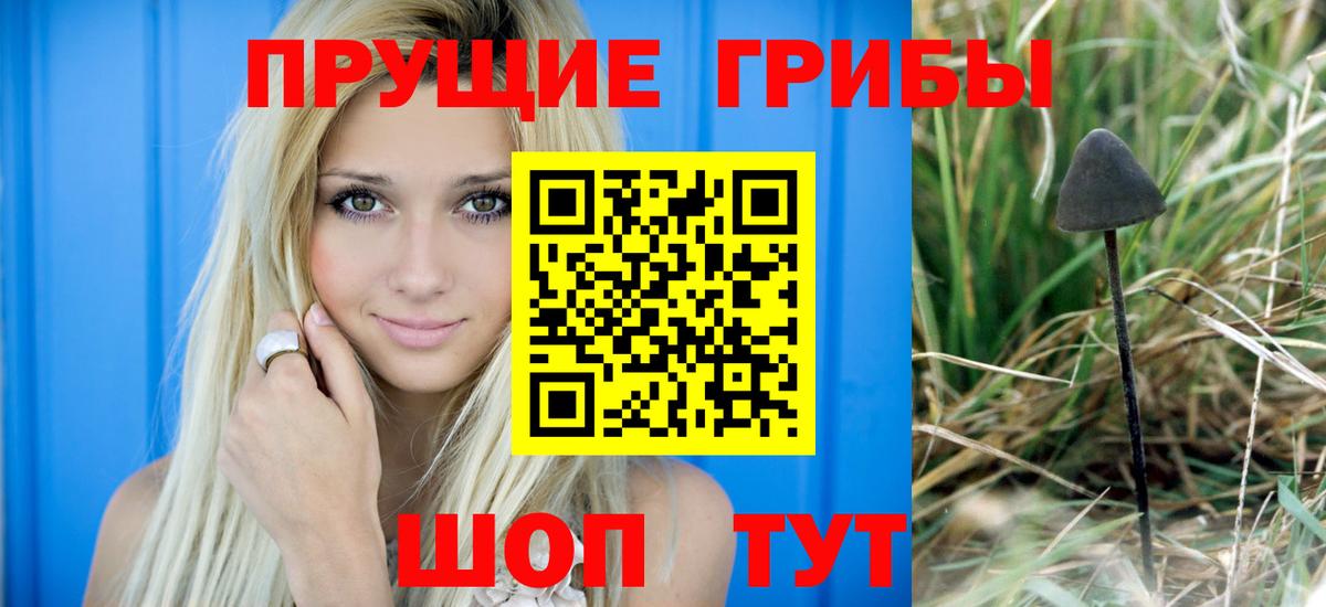 Галлюциногенные грибы MAGIC MUSHROOMS Кирово-Чепецк